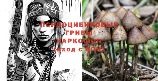 прущая мука Белокуриха