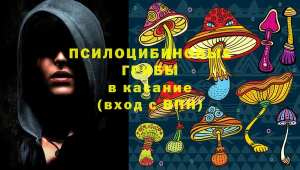 прущая мука Белокуриха